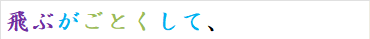 飛ぶがごとくして、