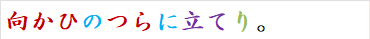 向かひのつらに立てり。