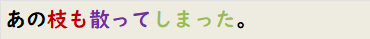 あの枝も散ってしまった。