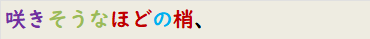 咲きそうなほどの梢、