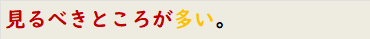 見るべきところが多い。