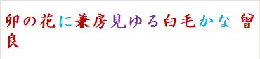 卯の花に兼房見ゆる白毛かな曽良　