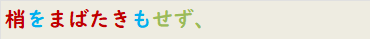 梢をまばたきもせず、