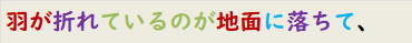 羽が折れているのが地面に落ちて、
