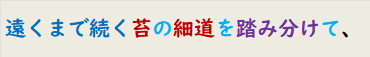 遠くまで続く苔の細道を踏み分けて、