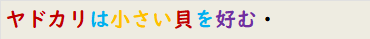 ヤドカリは小さい貝を好む・