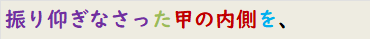 振り仰ぎなさった甲の内側を、