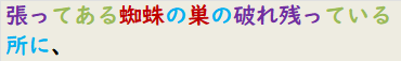 張ってある蜘蛛の巣の破れ残っている所に、