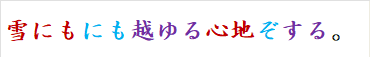雪にもにも越ゆる心地ぞする。