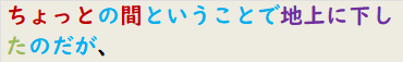 ちょっとの間ということで地上に下したのだが、