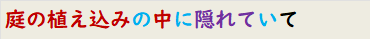 庭の植え込みの中に隠れていて
