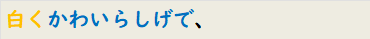 白くかわいらしげで、