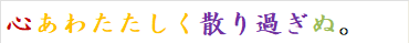 心あわたたしく散り過ぎぬ。