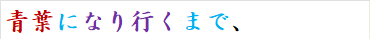 青葉になり行くまで、