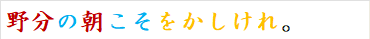 野分の朝こそをかしけれ。